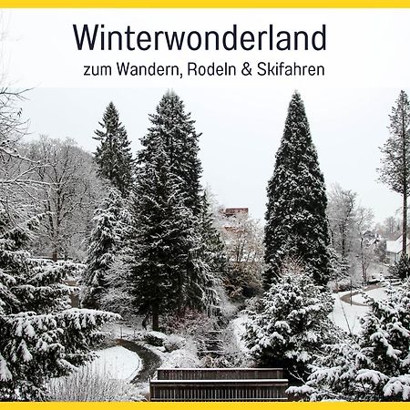 Marks Ferienwohnung In Bad Sachsa - Waldnah, Hundefreundlich, Ruhig! Ideal Fuer Paare Mit Hund Kültér fotó