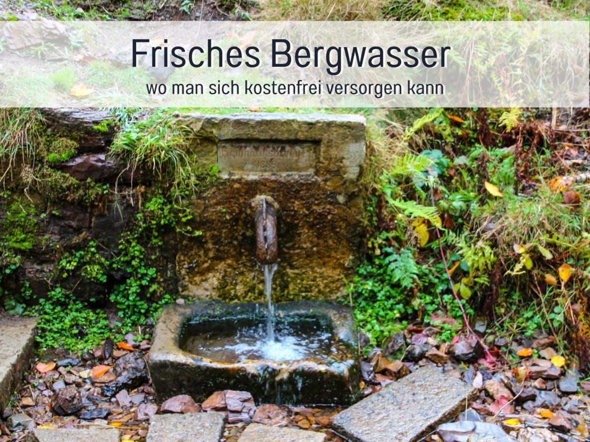Marks Ferienwohnung In Bad Sachsa - Waldnah, Hundefreundlich, Ruhig! Ideal Fuer Paare Mit Hund Kültér fotó