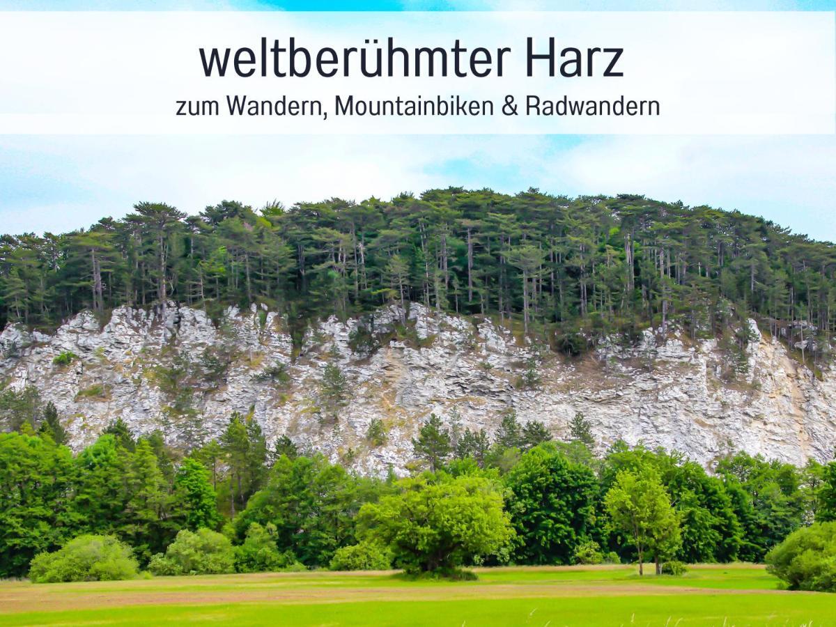 Marks Ferienwohnung In Bad Sachsa - Waldnah, Hundefreundlich, Ruhig! Ideal Fuer Paare Mit Hund Kültér fotó
